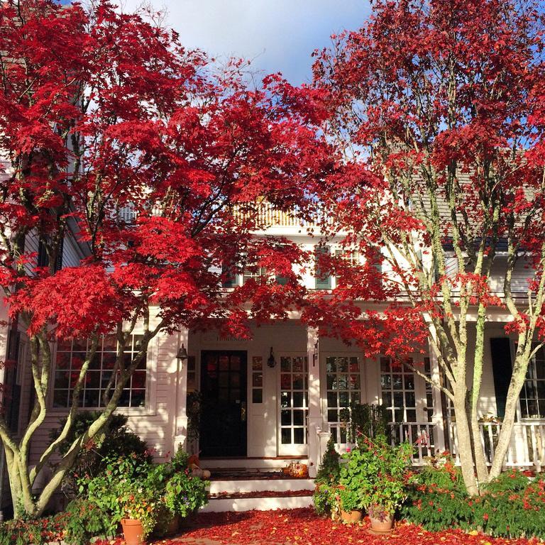 Hob Knob Hotel Edgartown Exterior foto
